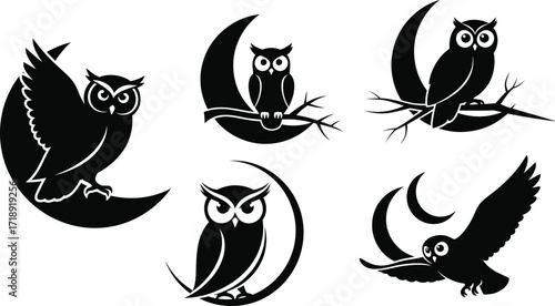 Black and white owl silhouettes perched on crescent moons and branches at night