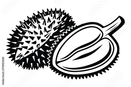 Durian Fruit Monochrome Art With Spikes on a White Background, Half Cut Open