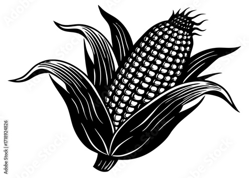 Corn on the Cob Silhouette, American Food SVG, PNG
