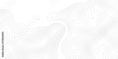 Topographic seamless map pattern with contour lines. Abstract geographic elevation design, lines sea map modern white background.	