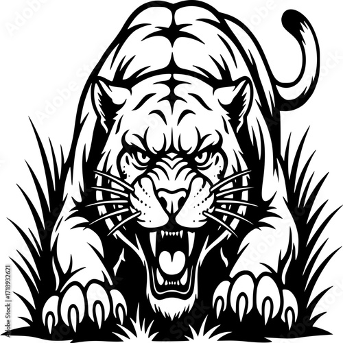 Tiger's Aggressive Stance: An illustrative image of a tiger, showing a powerful and ferocious beast in a dynamic pose, eyes blazing, in anticipation of action.