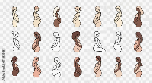 A collection of stylized illustrations depicting diverse pregnant women in profile, highlighting various stages of pregnancy and different skin tones.