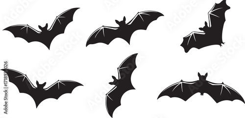Minimalist Black Bat Silhouette Illustrations in Flying Positions on White Background