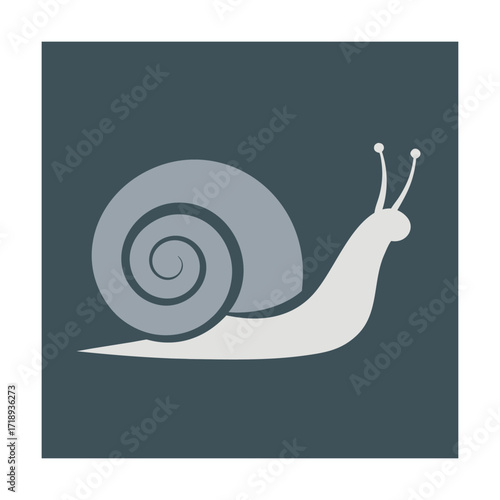 Pale snail shell