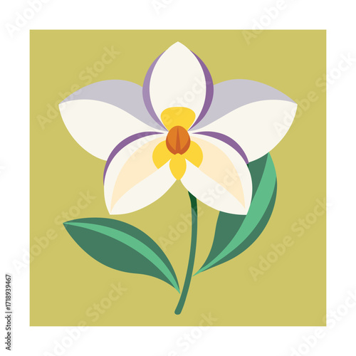 Orchid flower