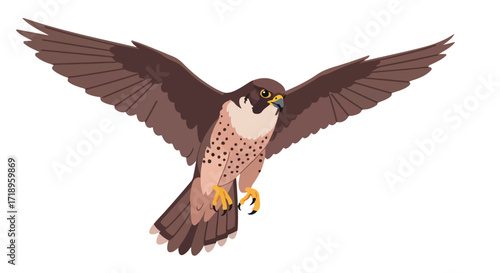 Elegant falcon soars gracefully with open wings, a captivating image of wildlife and freedom in a minimalist style