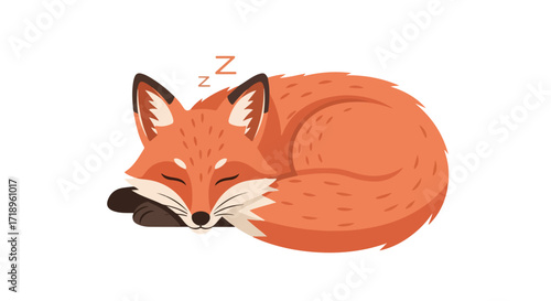 Enchanting slumber: A peaceful fox curled in deep slumber, embodying serenity and tranquility in its quiet respite portrayed in a simple yet