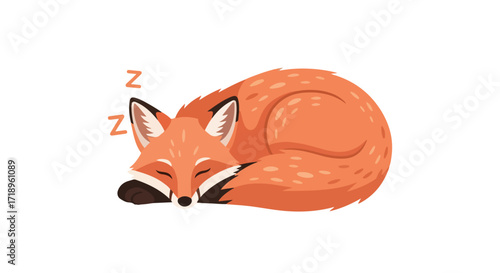 Illustration of a sleeping fox curled up with eyes closed and Z symbols floating illustrating sleep in a cartoon style against white background