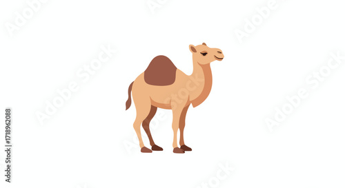 Isolated cartoon camel standing calmly, perfect for children's illustrations and educational resources, desert animal on clean white canvas