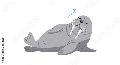 Cartoon walrus illustration with a whimsical charm, exhibiting a peaceful slumber on a stark white background, creating a lighthearted atmosphere