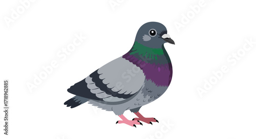 Cartoon rock dove illustration with muted colors and simplistic design for children's media purposes