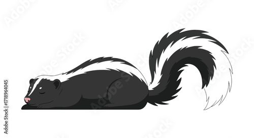Tranquil cartoon skunk napping peacefully with its iconic black and white stripes displayed in the sunlight on white background