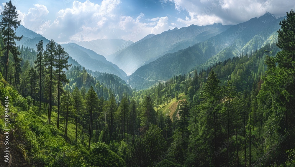 Fototapeta premium Panoramic view of a lush green valley nestled amongst majestic mountains, bathed in sunlight and partially veiled in a soft haze. The foreground is dominated by dense evergreen forest
