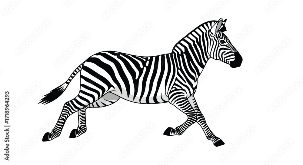 Naklejka premium Striking zebra illustration showcasing the animal's unique stripes and elegant form in motion on a clean white backdrop