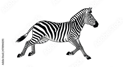 Striking zebra illustration showcasing the animal's unique stripes and elegant form in motion on a clean white backdrop