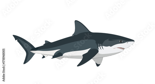 Cartoon depiction of a great white shark on a clean backdrop, showcasing its distinctive fin and teeth features in simplified style illustration