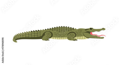 Illustrated Crocodile Relaxing on White Background, Revealing Tongue with Open Mouth in Detailed Flat Design Style