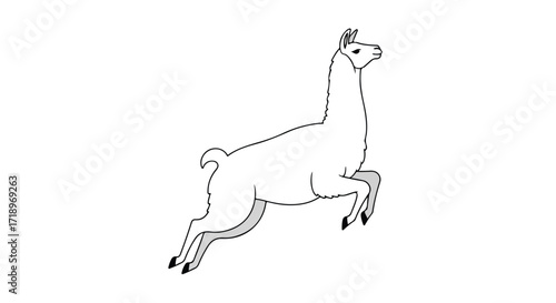 Elegant illustration of a leaping llama, showcased in a minimalist black and white design isolated, full body depiction, side view of a stylized