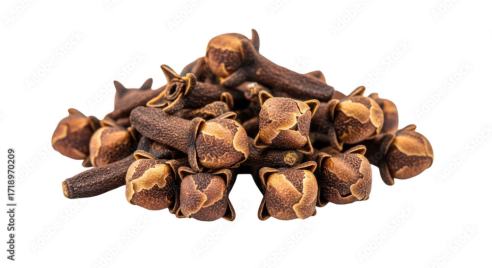 Obraz premium Dried Cloves Spice Macro Shot