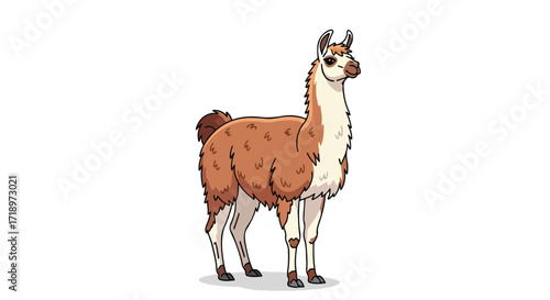 Illustration of a Standing Llama with Brown and White Fur, Isolated on a White Background