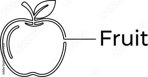 Illustration of an apple with the word "fruit," a simple line drawing of a healthy food item
