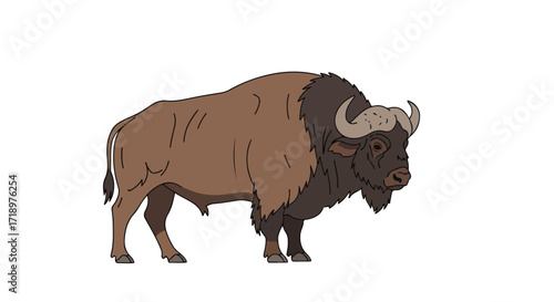 Cartoon illustration of a large bison standing on a white background, showcasing its unique appearance, making it a visually striking image for