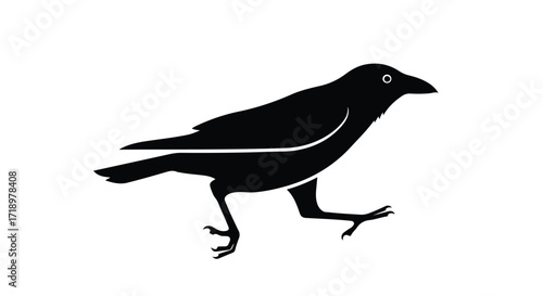 Abstract depiction of a raven strutting, conveyed in a sleek black silhouette against a stark white background, a minimalist artistic rendering