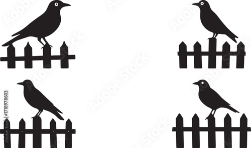 A set of crow bird perched on fence silhouette vector, black and white silhouette vector illustration