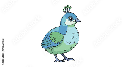 Cartoon-style illustration of a young peacock with blue and green feathers standing against a white background
