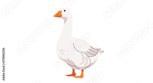 Elegant illustration of a domestic goose with orange beak and feet against a pristine white background in a clean modern style