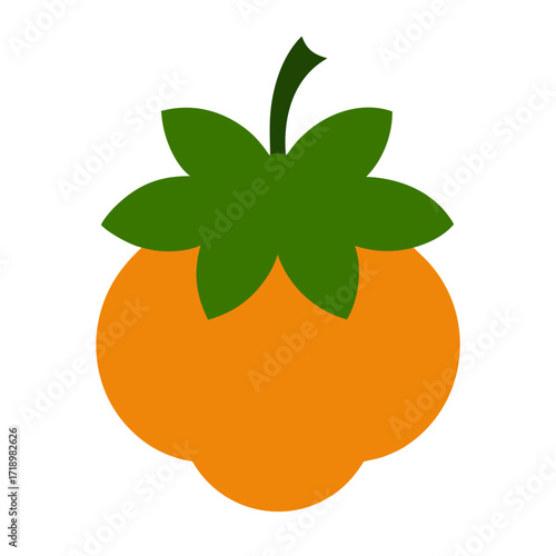 vector illustration of  cloudberry fruit silhouette