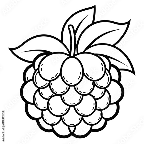 cloudberry fruit line art