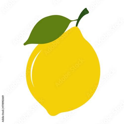 citron fruit silhouette on white background