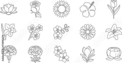 Collection of flower outlines including lotus, rose, sunflower, hibiscus, tulip, daffodil, and orchid