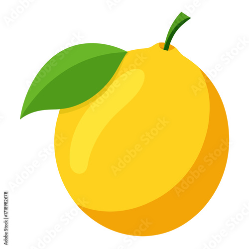 citron fruit on white background