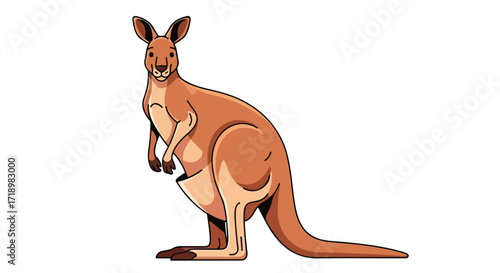 Stylized illustration of a kangaroo with brown fur and black outlines, showcasing a digital drawing of Australian wildlife in a simple and clear