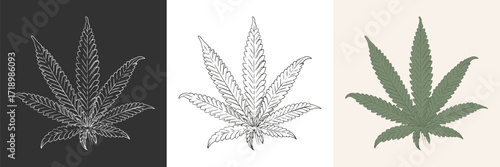 Cannabis vintage icon. Sketch style black, white and colorful leaf weed marijuana