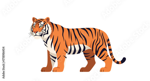 Stylized Bengal tiger illustration standing on a plain white background for design or education purposes