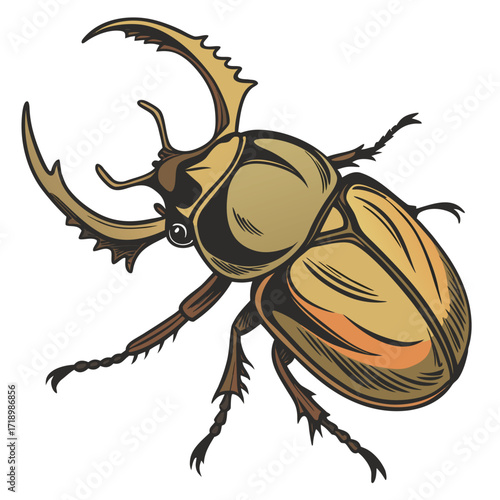 A striking stag beetle vector illustration, isolated on a clean white background, highlights the unique horns of this fascinating insect