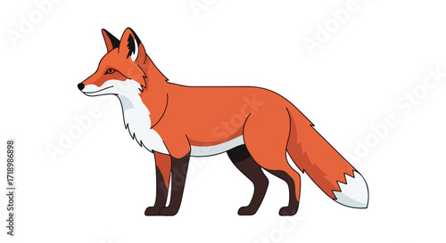 Illustration of a fox with a sleek orange coat and white markings, standing in a serene pose with a bushy tail