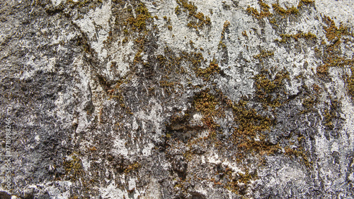 Weathered Stone Surface with Moss and Lichen Texture