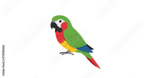 Vibrant vector illustration of a colorful macaw with striking plumage on white background, perfect for avian themed designs and projects