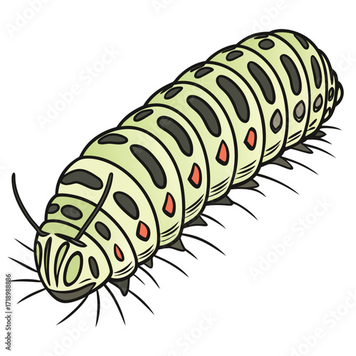Isolated food vector illustration of an animal insect and sea fish meal