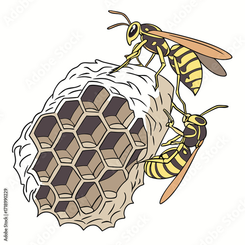 Cute flying cartoon bee with yellow wings and sweet honeycomb illustration