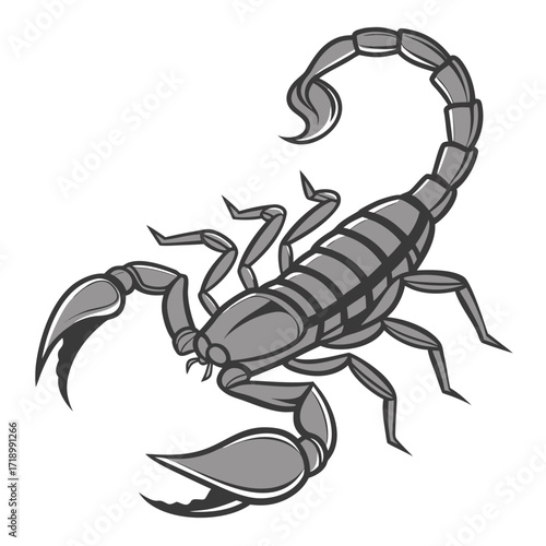 A venomous black arachnid with a curved stinger tail and a big claw is a sign of danger in the desert