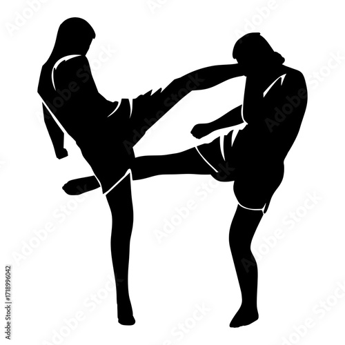 A dynamic silhouette of two martial artists in combat, captured mid-kick. The black figures against a neutral background emphasize the action and movement, making it ideal for designs related to fight