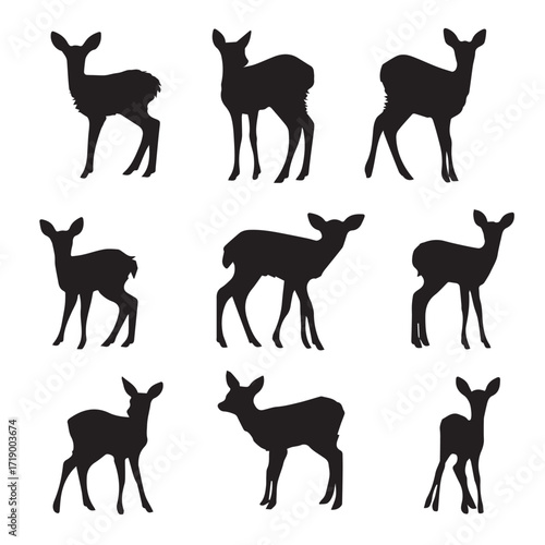 Collection of diverse fawn silhouettes in various poses isolated on white background silhouette style
