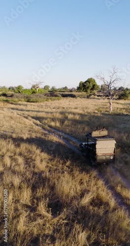 Vertical close-up aerial video. Tourists in a game drive vehicle driving in the Okavango Delta.   