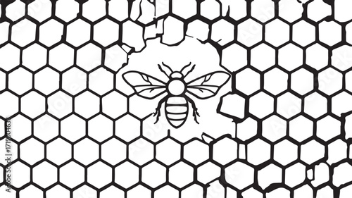 Bee and Honeycomb Vector Illustration | Black and White Hexagon Pattern Design for Logos and Art