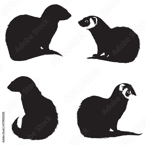 Collection of ferret silhouettes in various poses isolated on white background